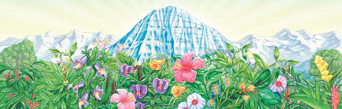 PRODUITS AYURVÉDIQUES